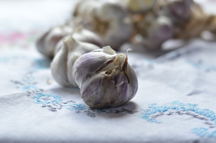 Garlic drying out