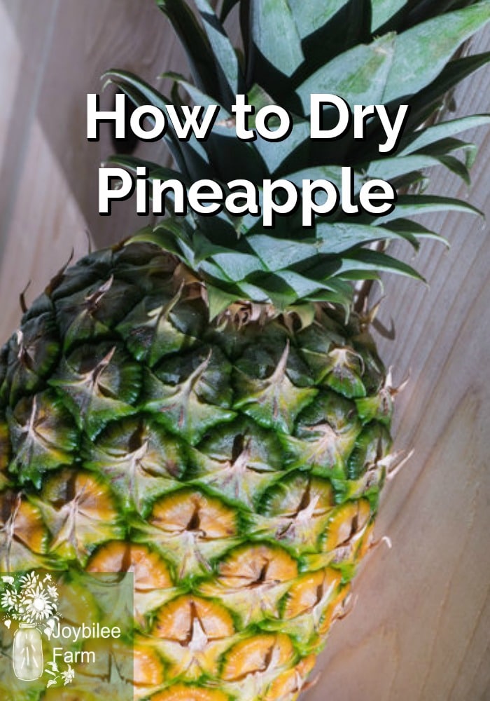 How to Dry Pineapple Joybilee® Farm DIY Herbs Gardening