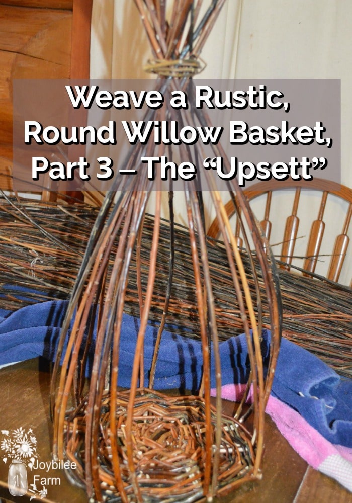 Weave a rustic, round willow basket, part 3 weaving the “upsett