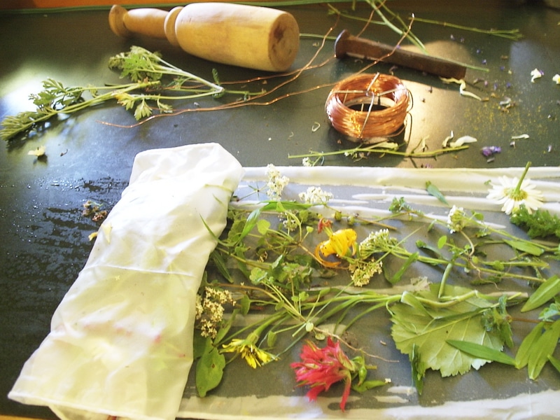 Direct Contact Dyeing with weeds