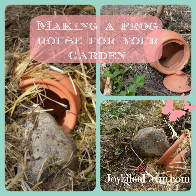 Making a frog house for your garden | Joybilee® Farm | DIY | Herbs