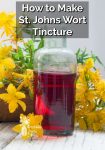A bottle of ruby red St. Johns Wort Tincture by St. Johns Wort yellow flowers
