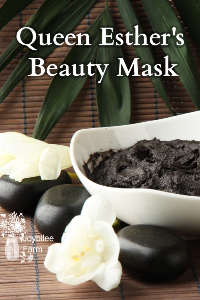 a prepared mud mask in a white bowl