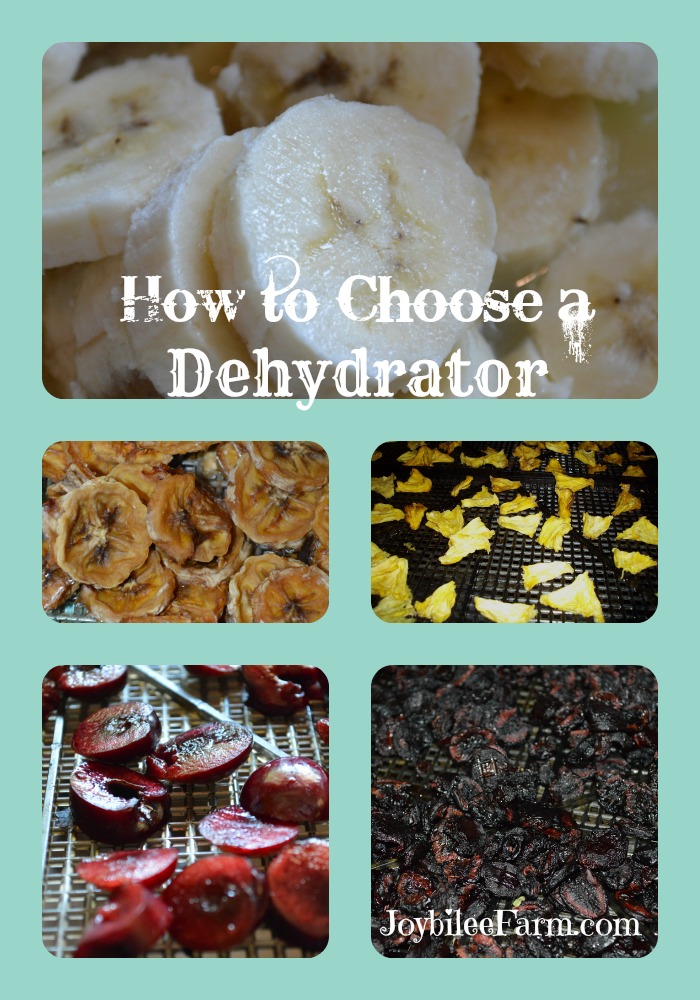 Dehydrator
