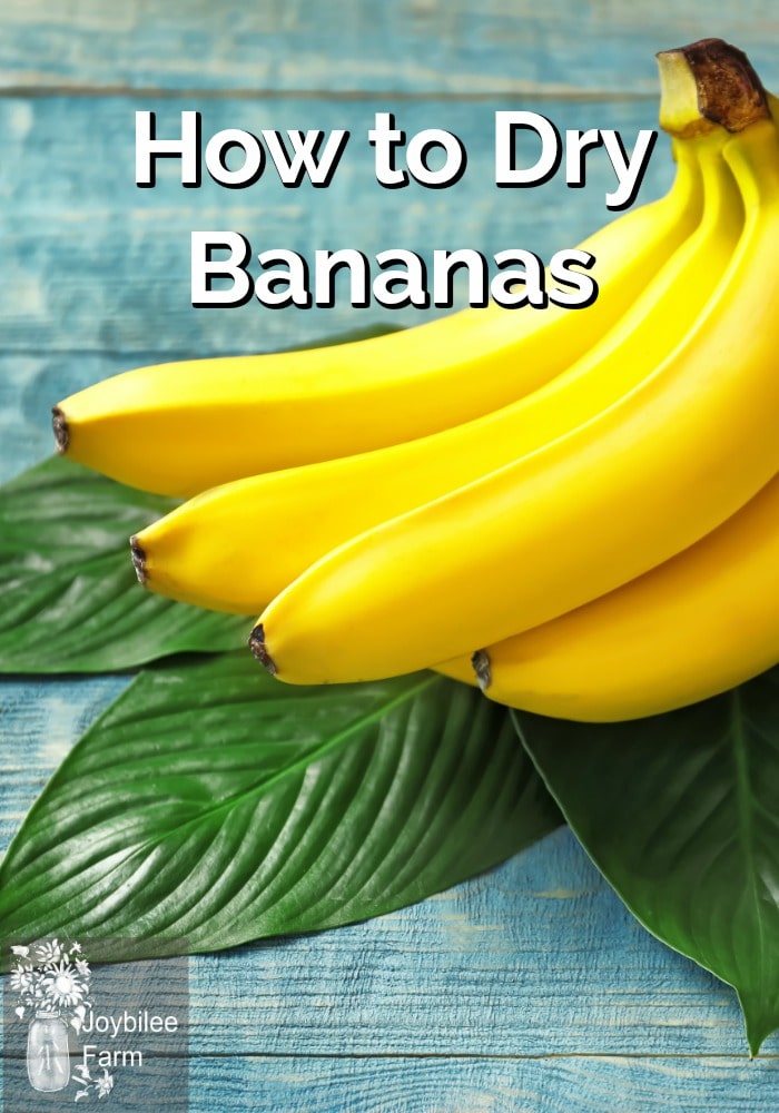 How to Dry Bananas and take advantage of sales Joybilee® Farm DIY