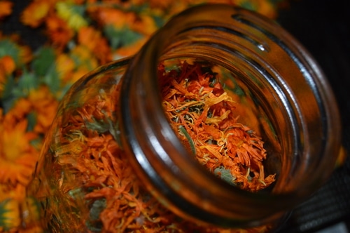 dried calendula petals in a glass jar