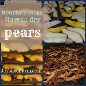 Photo collage of pears - fresh sliced and dehydrated slices