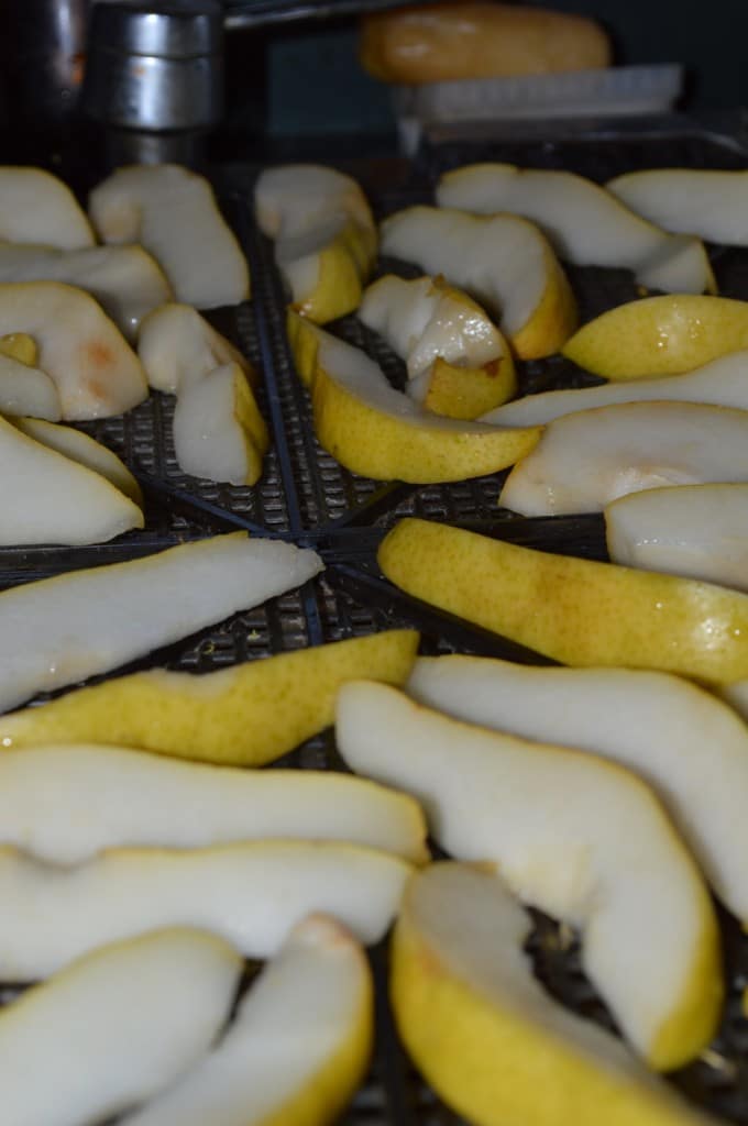 Pears sliced for drying