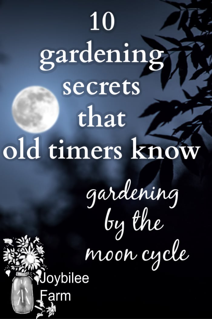10 gardening secrets that old timers know -- gardening by the moon cycle