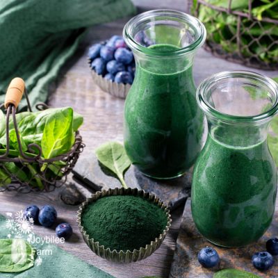 How to Make Green Superfood Powder for Smoothies - Joyful Abode