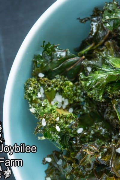 kale chips in a blue bowl