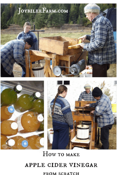 How to make apple cider vinegar -- Joybilee Farm