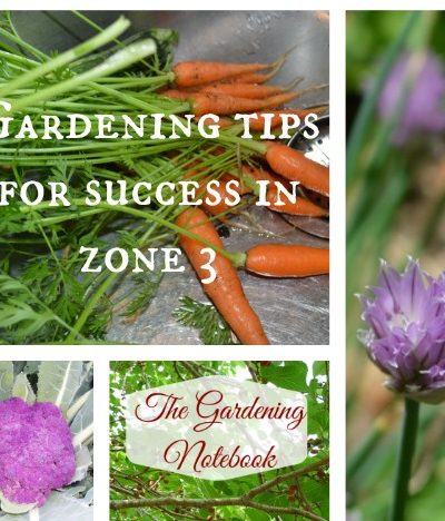 Gardening tips for success in zone 3