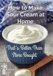 How to Make Sour Cream
