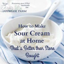 How to Make Probiotic Sour Cream at Home-image