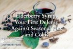 Elderberry Syrup, Your First Defense Against Seasonal Flus and Colds