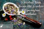 5 Herbal Teas From the Garden that You May Have Overlooked