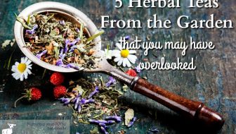 5 Herbal Teas From the Garden that You May Have Overlooked