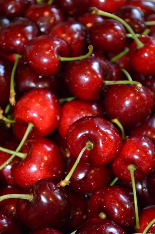 Fresh cherries just washed