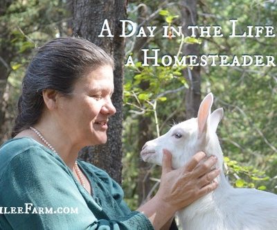 Real Life Homesteading -- Joybilee Farm