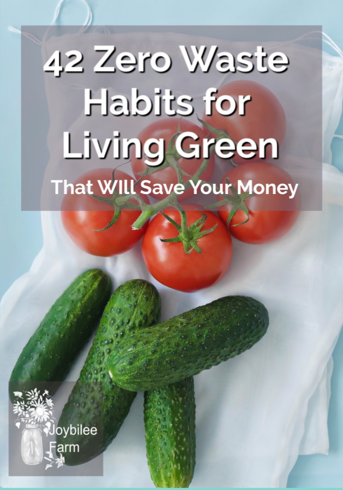 42 Zero Waste Habits for Living Green That Will Save You Money ...