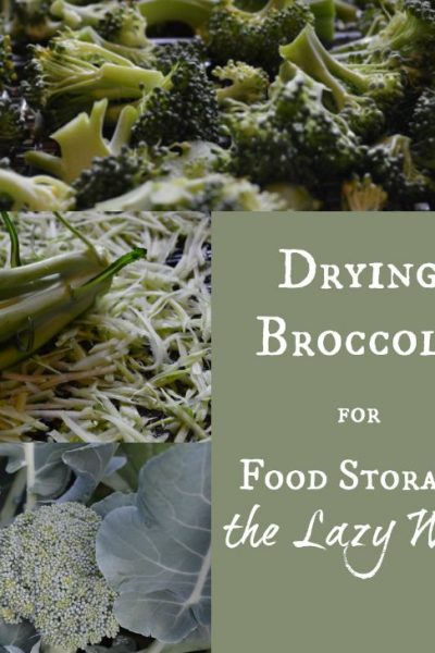 Drying Broccoli for Food Storage the Lazy Way -- Joybilee Farm