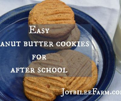 Easy Peanut Butter Cookies -- Joybilee Farm