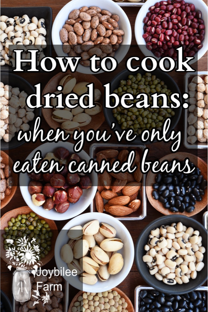 How to cook dried beans, when you’ve only eaten canned beans
