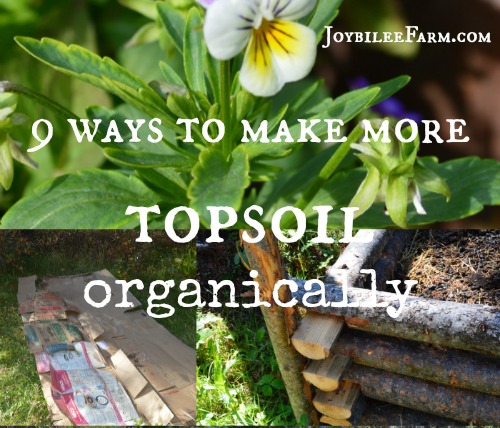 9 Ways To Make More Topsoil Organically Joybilee Farm Diy 9 Ways To Make More Topsoil Organically Joybilee Farm Diy Herbs Gardening