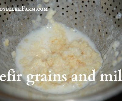 Kefir making is a simple 3 step process: Place kefir grains in a clean jar. Pour fresh milk over the kefir grains. Wait 24 to 48 hours. Strain out the kefir grains by pouring the fermented milk through a sieve. Repeat.