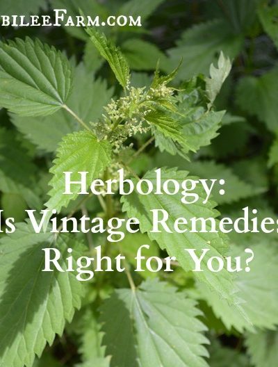 Online Herbology classes are taught from many different perspectives and worldviews. While all online herbalism classes touch on scientific research, botany, anatomy, physiology, and historical and cultural uses of herbs for healing, each one places a different weight on the importance of these perspectives in the overall picture of Herbology.