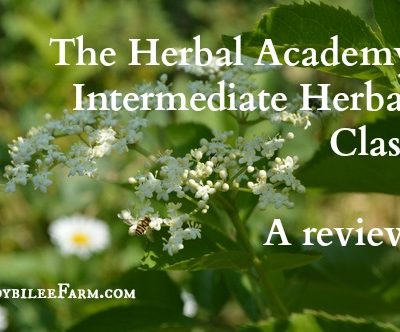 The Intermediate Herbal course is put together with the thought of where the student will go next in their studies, once this course is completed. This course lays the foundation for the next level of herbal education, whether the student desires to work toward a certificate along the entrepreneur herbalist path, the professional herbalist path, or the clinical herbalist path.