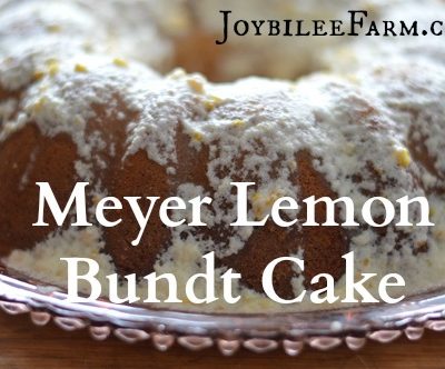 This meyer lemon bundt cake uses just two of these fragrant and juicy fruits. If you only have access to regular lemons, you'll need 3 to equal the amount of zest and juice in this recipe that two meyer lemons have. This is lovely for a light, refreshing tea cake. Plate it with a pretty vintage plate from the thrift store and share it with a neighbor. Tell them you don't need the plate back, and they can "pay it forward". Start a happy neighborhood trend and build your community up. Here's the recipe. I hope you enjoy it.