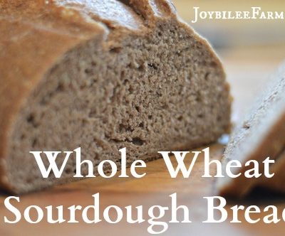 Fresh whole wheat sourdough bread on a cutting board with a knife