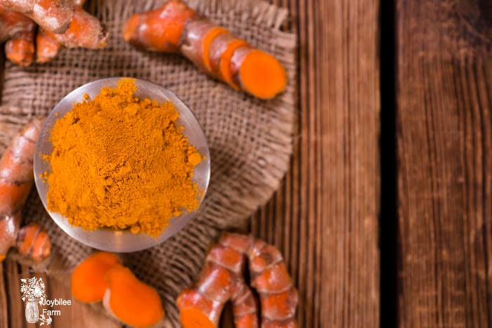 Fresh and powdered turmeric on a wooden background