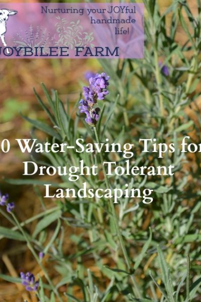 You don't have to give up on a gorgeous yard in drought. You can use the drought tolerant landscaping principles in this book to create a beautiful and productive yard. The book is divided into 5 parts. The first 4 offer tips for creating a beautiful, attractive landscape in spite of a lack of water for gardening. The final section lists 101 plants to use in a water-saving garden. However, of the 101 plants listed, less than 20% are rated for zone 3.