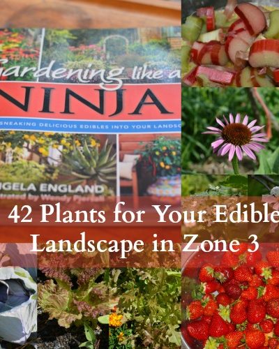 I combed through the pages of [amazon_link id="1462118089" target="_blank" ]Gardening Like a Ninja[/amazon_link] specifically looking for plants that those of us in harsh climates could use in our Ninja exploits. Here’s 42 plants that are both edible and beautiful that you can grow in your zone 3 Ninja Garden!