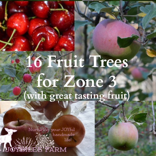 16 Fruit Trees for Zone 3 with Great Tasting Fruit ...