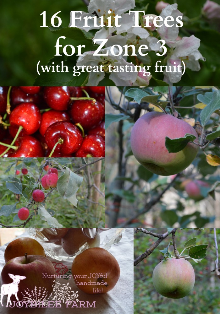 Photo collage of cherries, apples, blossoms, and crab apples.