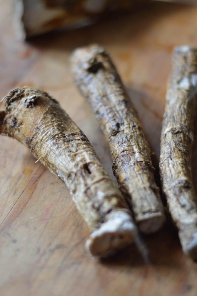 Growing horseradish and making prepared horseradish