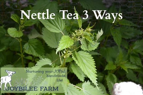Nettle Tea  Nourishing Herbal & Food as Medicine Recipes