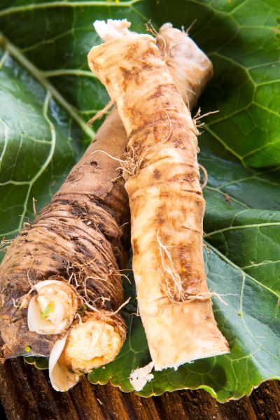 horseradish