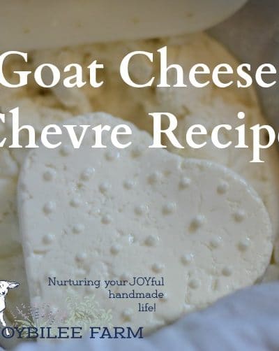 This is a soft goat cheese that is cubed in salads or spread on crackers. It's served in fancy restaurants as an appetizer. But if you make your own it will taste a thousand times better than any that you find in restaurants or grocery stores.