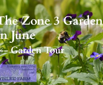 You can grow herbs in your zone 3 garden in June