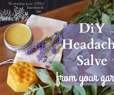 Headache salve in a tin, beeswax, lavender blossoms and peppermint on a table