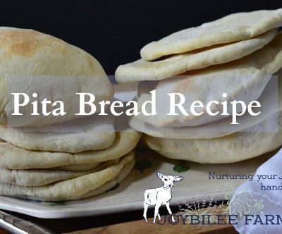 Pita bread is just the right size for a sandwich. Better than a bun, it doesn't get soggy when loaded down with tzatziki, hummus, or lamb and hot sauce. Pita bread is a must for gyros and schwarma. And it's pretty quick to make. You don't even need to wait for the bread to rise a second time before you bake it.