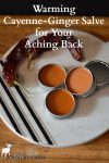 Tins of homemade Cayenne, Ginger, St John's Wort Salve for Back Pain