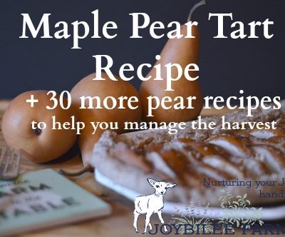 Low on added sugar and high on flavour this pear tart is tasty enough for dessert yet healthy enough for breakfast, brunch, lunch, or afternoon tea. Make it while the pears are ripe. It is a superb fall dish.