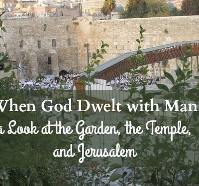 I believe the real value of this book is the call to return to the garden. In the garden there was the daily presence of God walking with the man and his wife. This is what we need to bring healing and to restore our JOY. Turn west and enter in.