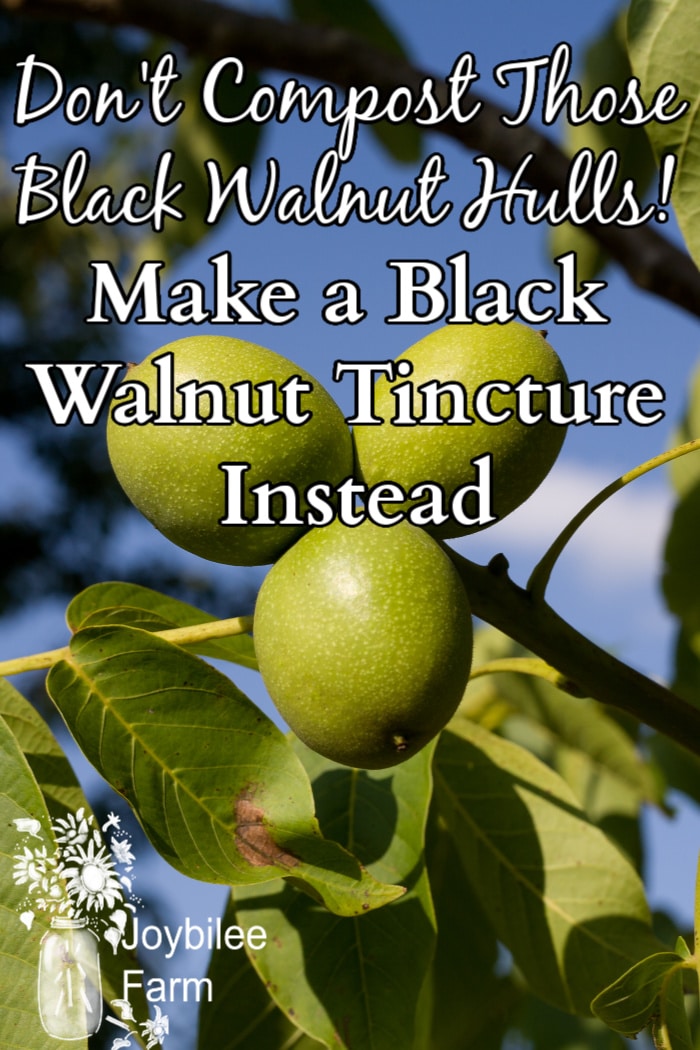 How to make a black walnut cracker plans southern living